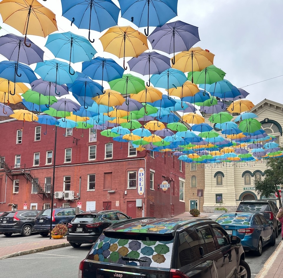 An outdoors art installation: a canopy made from dozens of colorful umbrellas is suspended over a street. The colors reflect gaily from cars parked underneath.