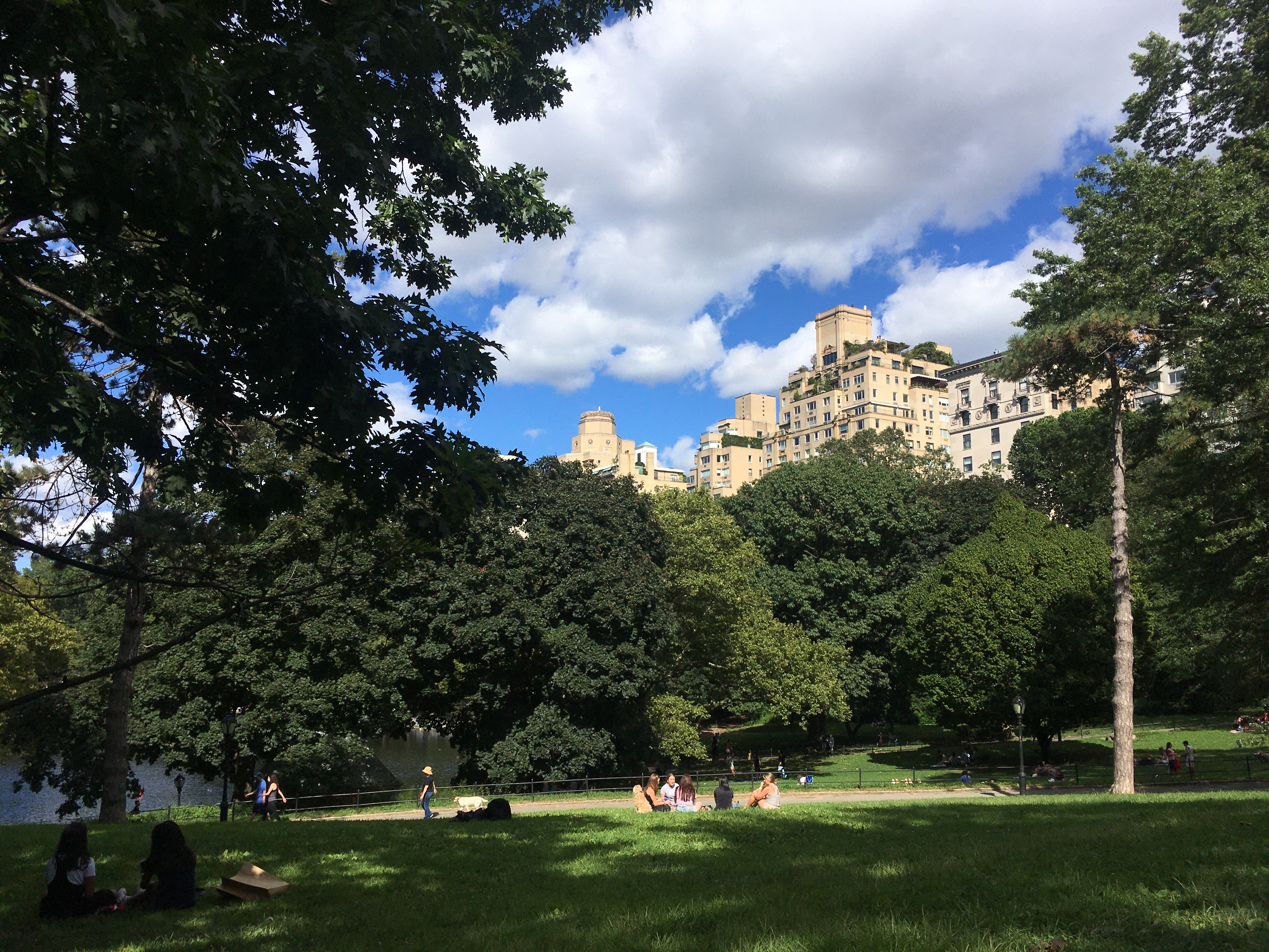 Photograph of Central Park on a beautiful summer day. We can see a few blocky buildings rising up beyond the lush green trees in the middle distance. People sit and stroll through a green-and-blue landscape of lakeside trees and grass.