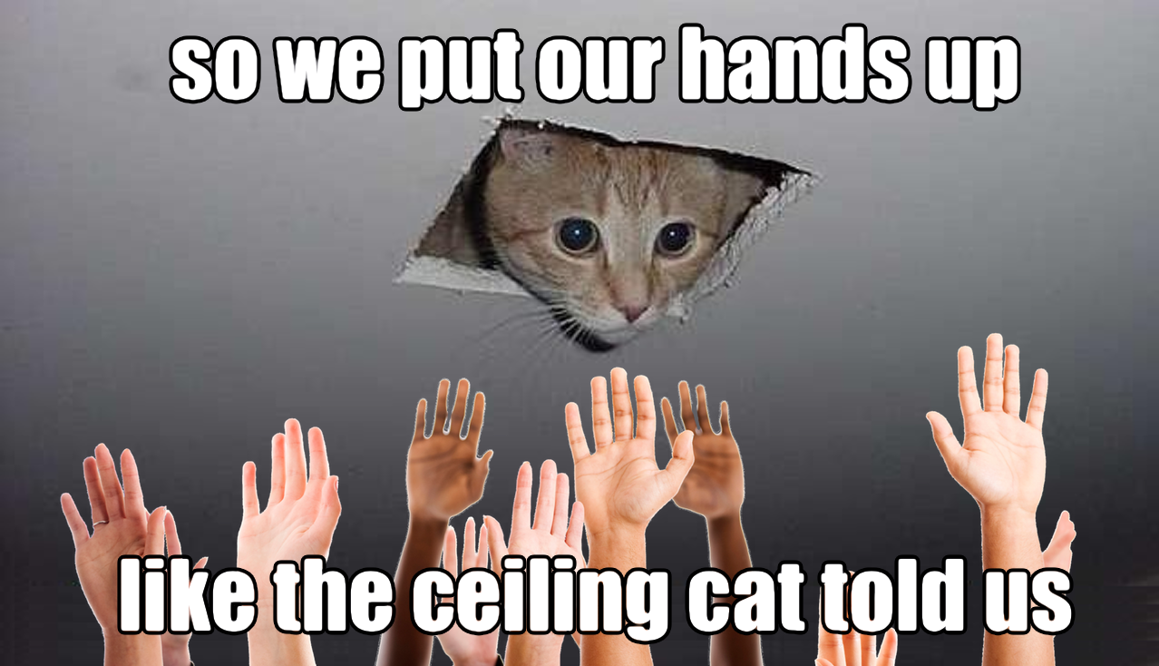 so we put our hands up like the ceiling cat told us