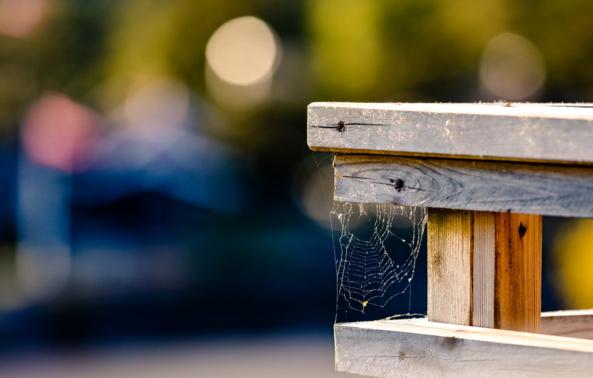 A spiderweb, suspended between some planks of wood, outside.