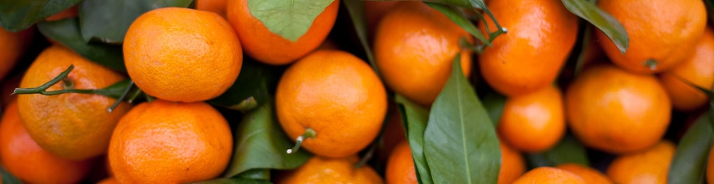 A tumble of tangerines.