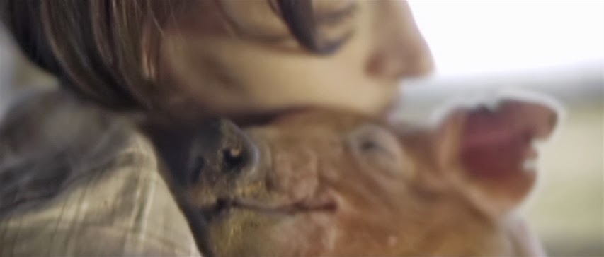 A woman embracing a piglet, in a still image from Upstream Color